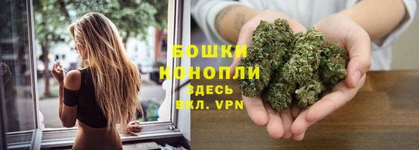 ешки Гусиноозёрск