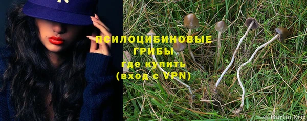 таблы Гусь-Хрустальный