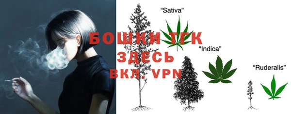 ешки Гусиноозёрск