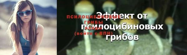 ешки Гусиноозёрск
