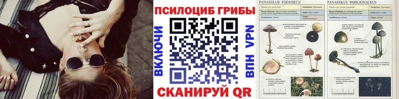 Купить где  Чёрмоз  Галлюциногенные грибы ЛСД 